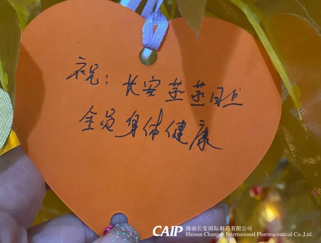 让愿望温暖这个春天——长安制药2021年新春许愿树活动